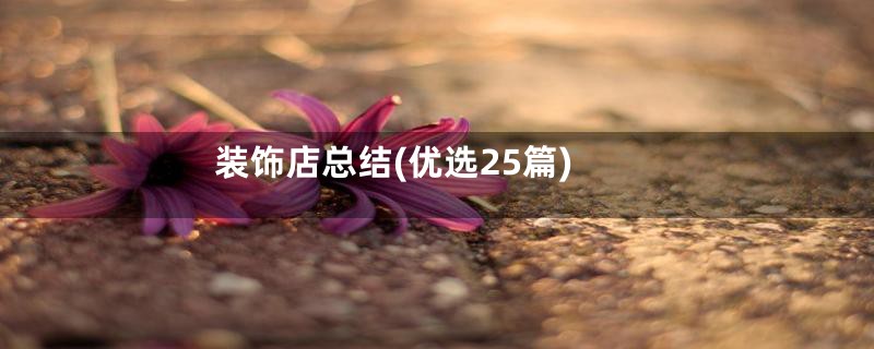 装饰店总结(优选25篇)