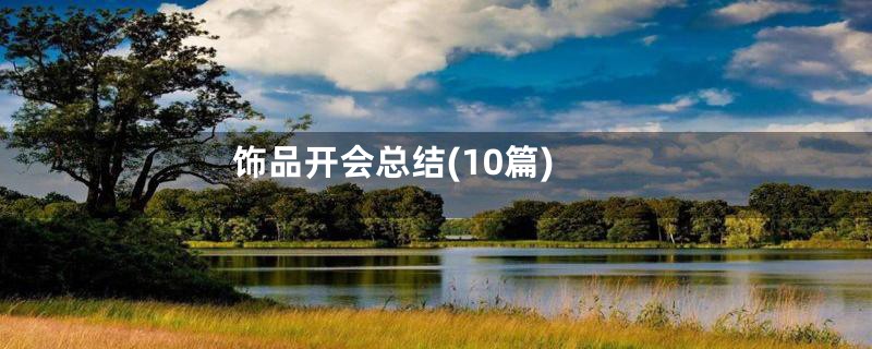 饰品开会总结(10篇)