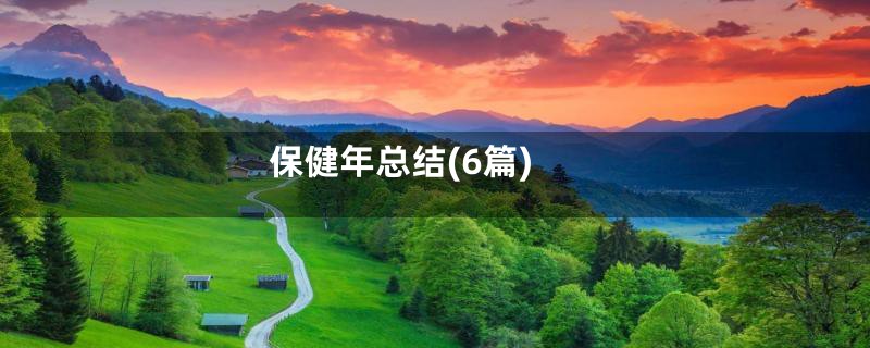 保健年总结(6篇)
