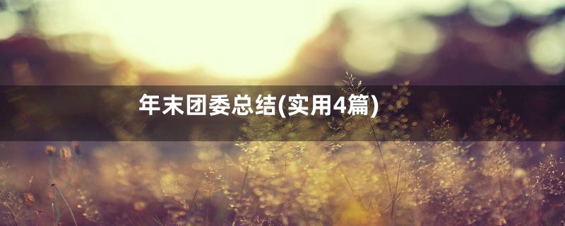 年末团委总结(实用4篇)