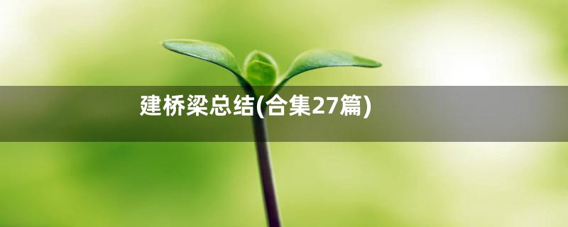 建桥梁总结(合集27篇)