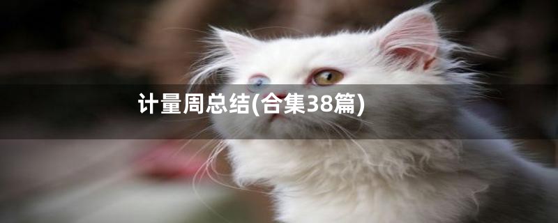 计量周总结(合集38篇)
