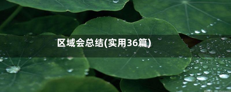 区域会总结(实用36篇)
