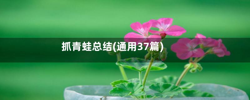 抓青蛙总结(通用37篇)