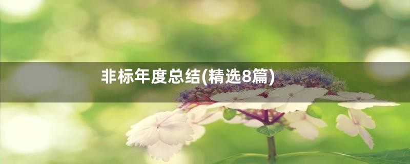非标年度总结(精选8篇)