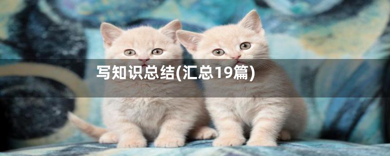 写知识总结(汇总19篇)