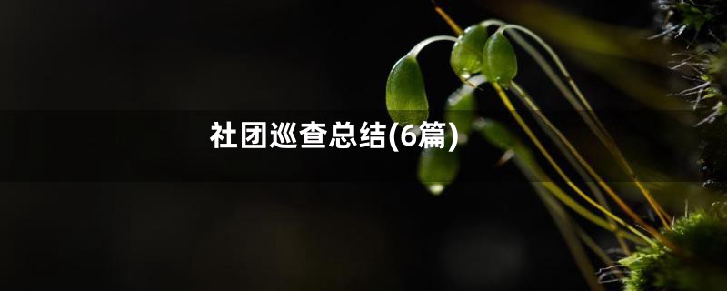 社团巡查总结(6篇)