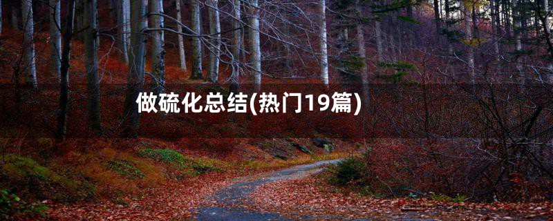 做硫化总结(热门19篇)