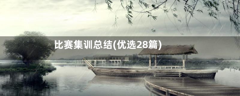 比赛集训总结(优选28篇)