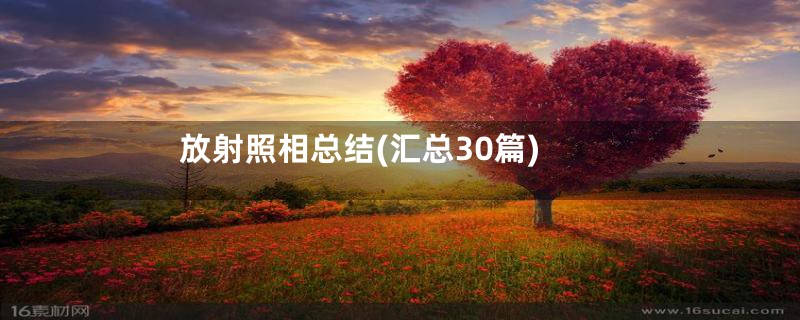 放射照相总结(汇总30篇)