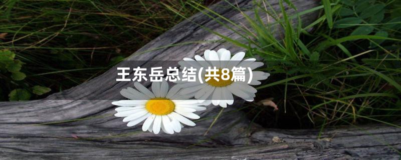 王东岳总结(共8篇)