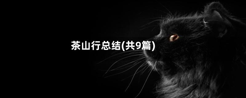 茶山行总结(共9篇)