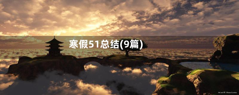 寒假51总结(9篇)