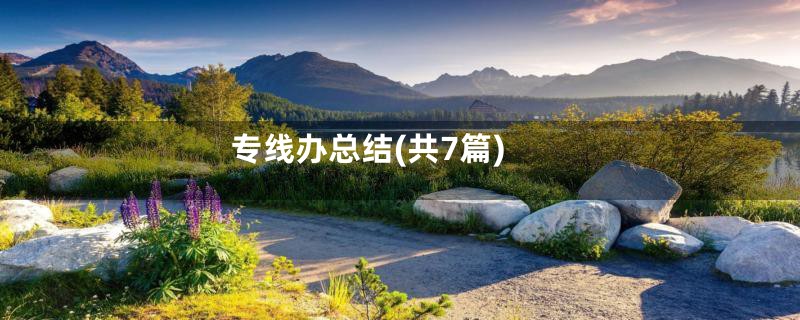 专线办总结(共7篇)