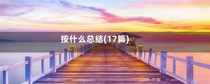 按什么总结(17篇)