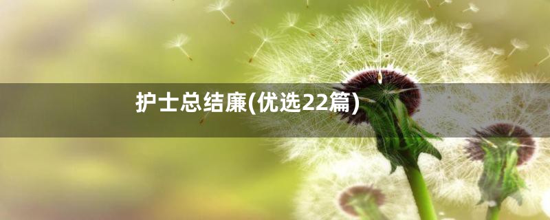 护士总结廉(优选22篇)