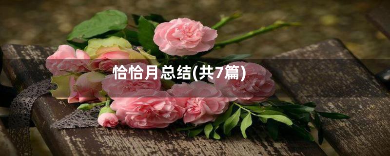 恰恰月总结(共7篇)