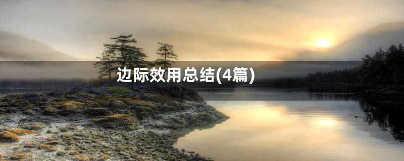边际效用总结(4篇)