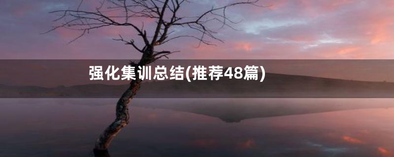 强化集训总结(推荐48篇)
