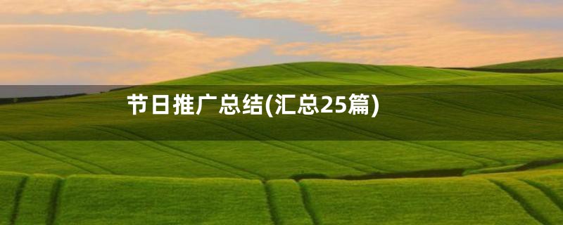 节日推广总结(汇总25篇)