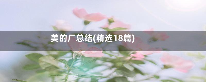 美的厂总结(精选18篇)