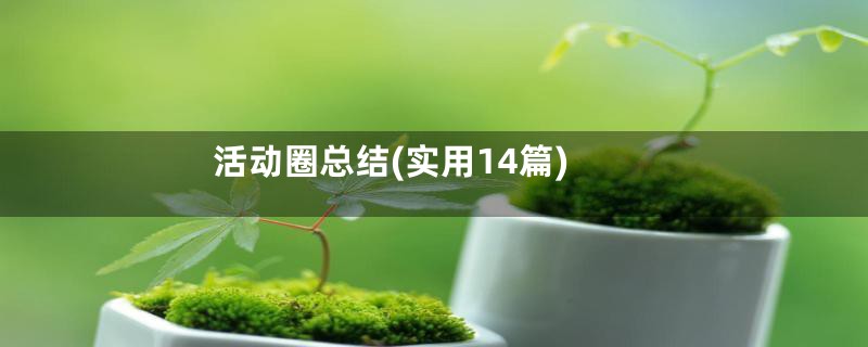 活动圈总结(实用14篇)