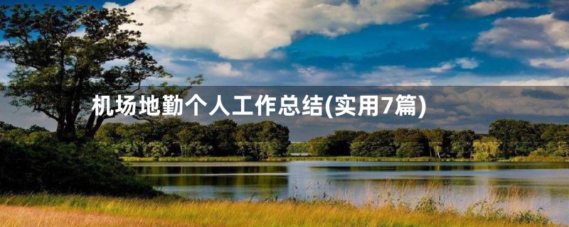 机场地勤个人工作总结(实用7篇)