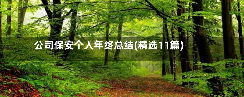 公司保安个人年终总结(精选11篇)