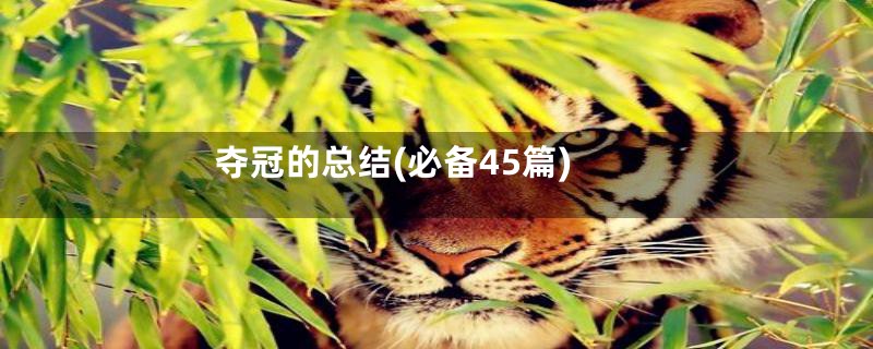 夺冠的总结(必备45篇)