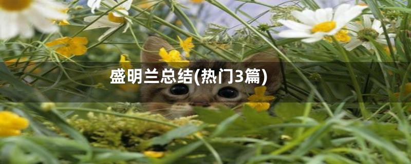 盛明兰总结(热门3篇)