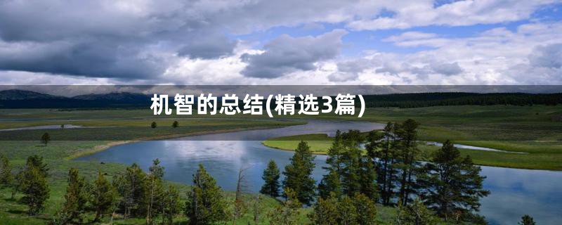 机智的总结(精选3篇)