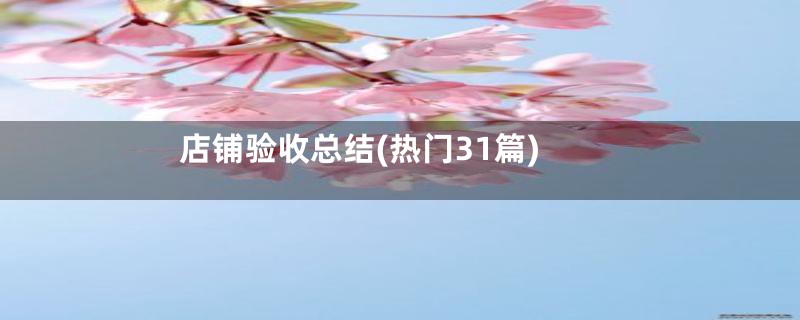 店铺验收总结(热门31篇)