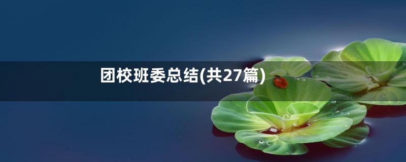 团校班委总结(共27篇)