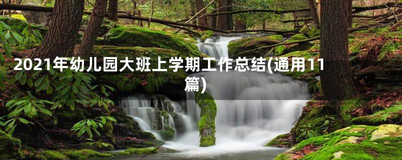 2021年幼儿园大班上学期工作总结(通用11篇)