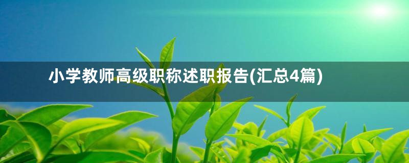 小学教师高级职称述职报告(汇总4篇)