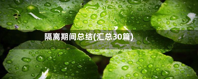 隔离期间总结(汇总30篇)