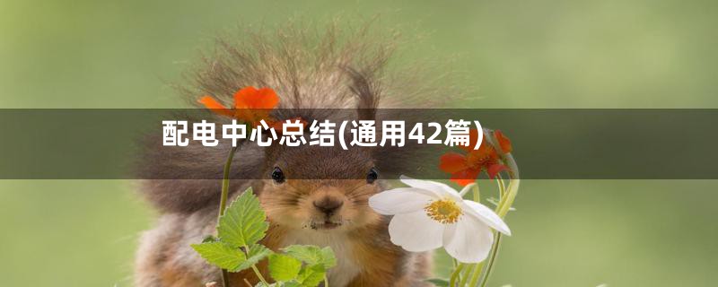 配电中心总结(通用42篇)