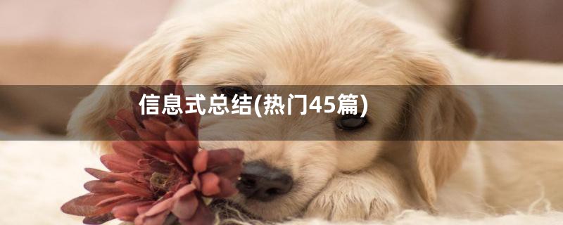 信息式总结(热门45篇)