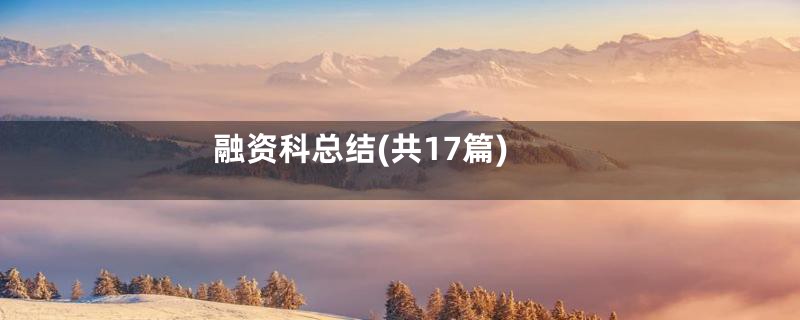 融资科总结(共17篇)