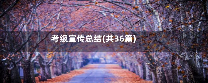 考级宣传总结(共36篇)