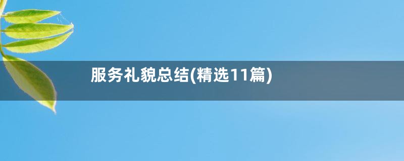 服务礼貌总结(精选11篇)