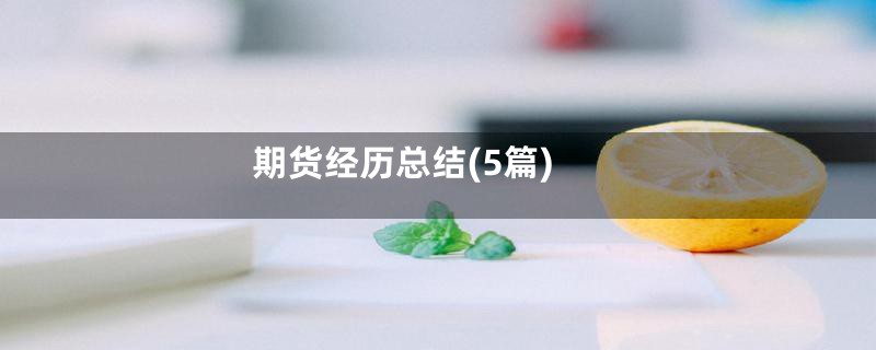 期货经历总结(5篇)
