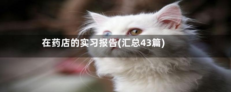 在药店的实习报告(汇总43篇)