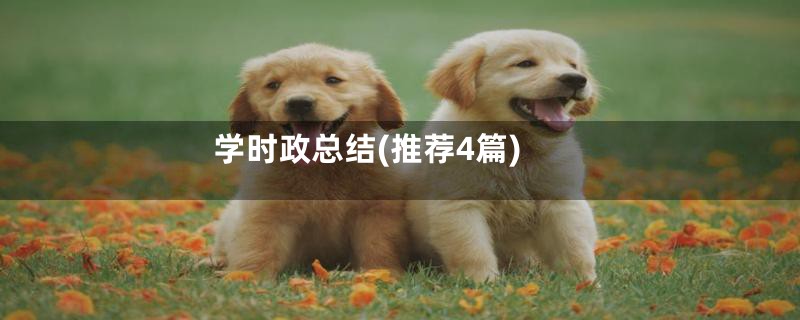 学时政总结(推荐4篇)