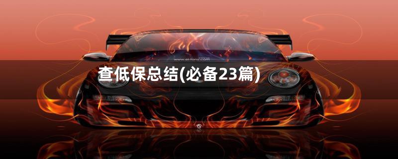 查低保总结(必备23篇)