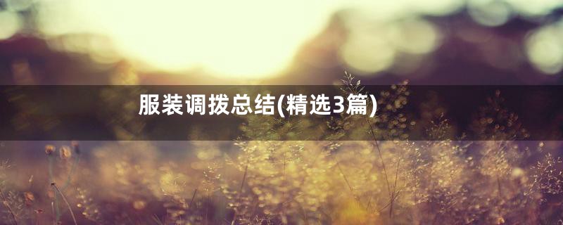 服装调拨总结(精选3篇)