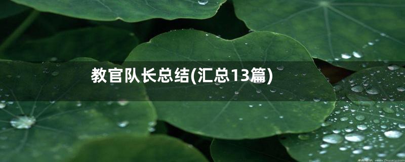 教官队长总结(汇总13篇)