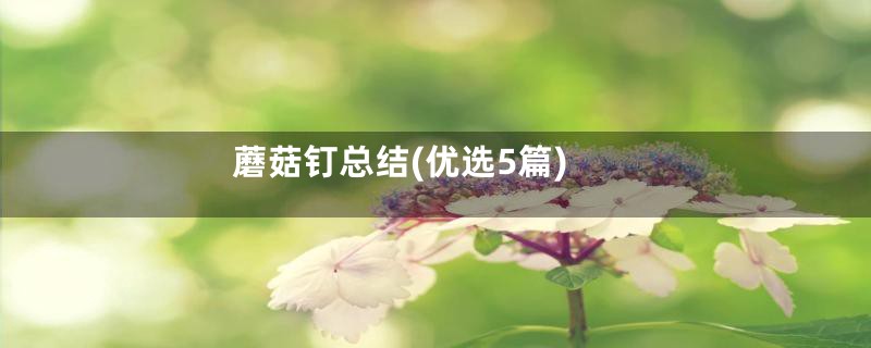 蘑菇钉总结(优选5篇)