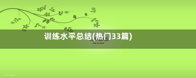 训练水平总结(热门33篇)