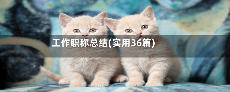 工作职称总结(实用36篇)